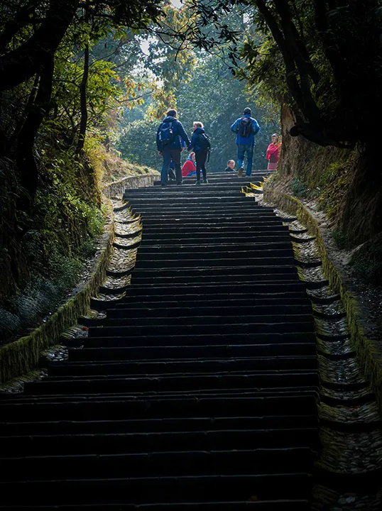 Walkers climbing the long stone stairway of Hazar Sidi under the trees