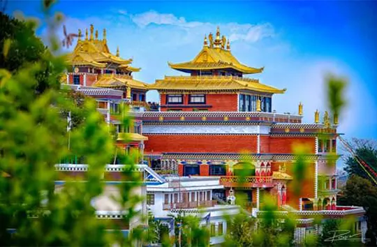 The gilded roofs of Namo Buddha Monastery rising behind green foliage
